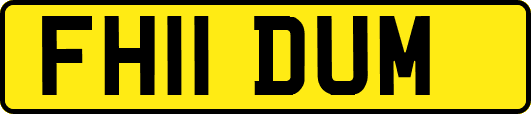 FH11DUM