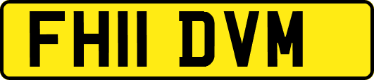 FH11DVM