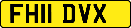 FH11DVX