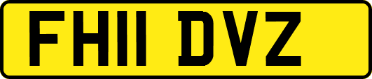 FH11DVZ