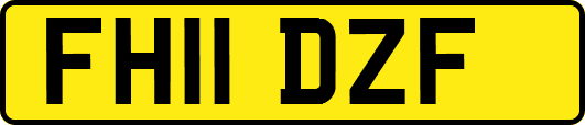 FH11DZF