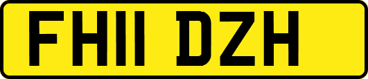 FH11DZH