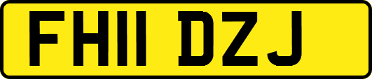 FH11DZJ
