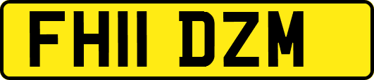 FH11DZM