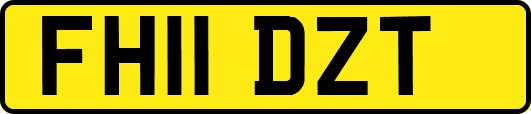 FH11DZT