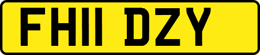 FH11DZY