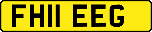 FH11EEG
