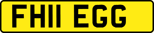 FH11EGG