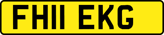 FH11EKG