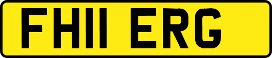 FH11ERG
