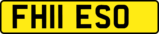 FH11ESO