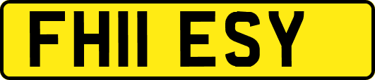 FH11ESY