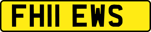 FH11EWS