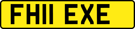 FH11EXE