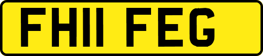 FH11FEG