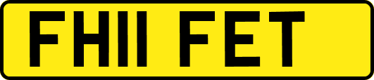 FH11FET