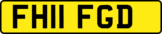 FH11FGD
