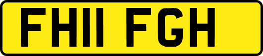 FH11FGH