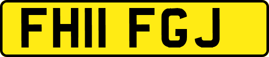 FH11FGJ