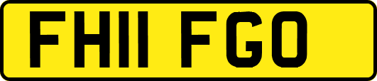 FH11FGO