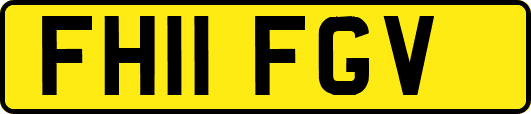 FH11FGV