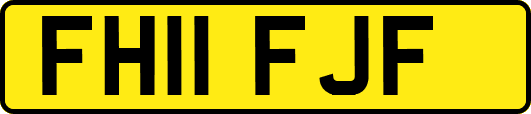 FH11FJF