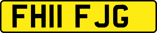 FH11FJG