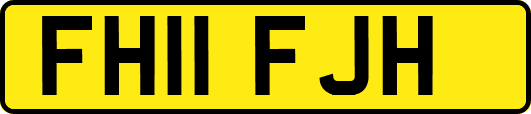 FH11FJH