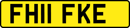 FH11FKE