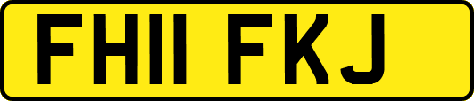 FH11FKJ