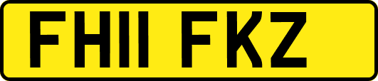 FH11FKZ