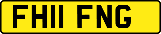 FH11FNG