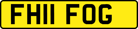 FH11FOG