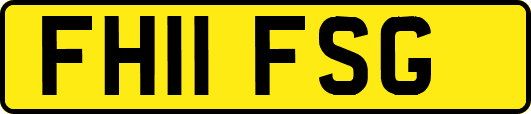 FH11FSG