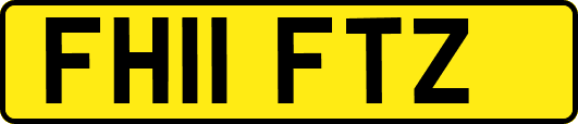 FH11FTZ