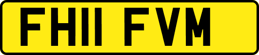 FH11FVM