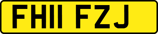 FH11FZJ