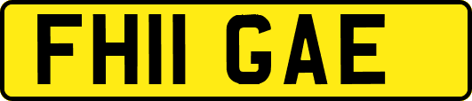 FH11GAE