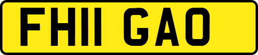 FH11GAO