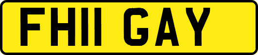FH11GAY