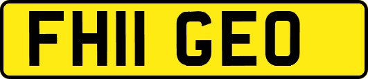 FH11GEO