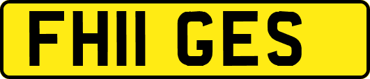 FH11GES