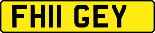 FH11GEY