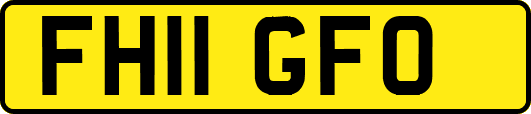 FH11GFO