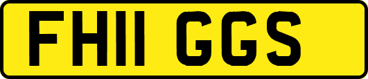 FH11GGS