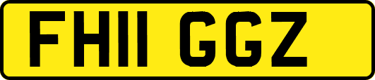 FH11GGZ