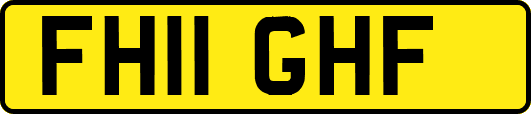 FH11GHF
