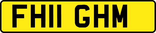 FH11GHM
