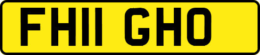 FH11GHO
