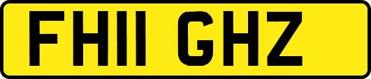 FH11GHZ